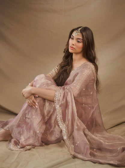 Premium Tissue Salsa Crush Saree with Thread & Sequin Work | RO17532